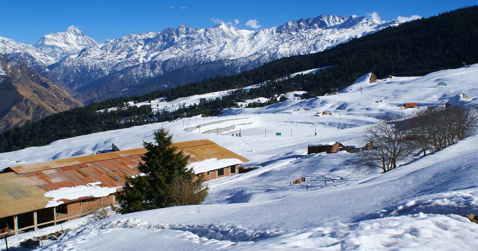 Auli & Chopta Taxi Package from Dehradun